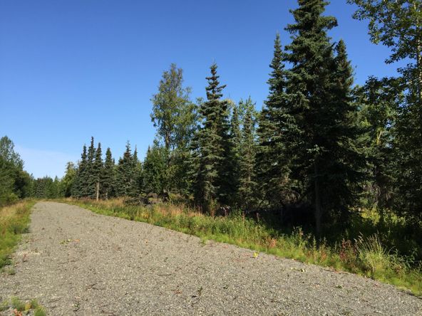 63767 Oil Well Rd, Ninilchik, AK 99639
